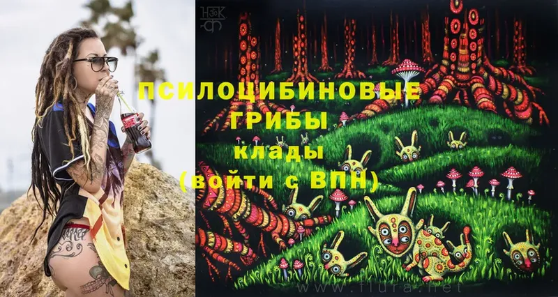 Галлюциногенные грибы MAGIC MUSHROOMS  Верея 